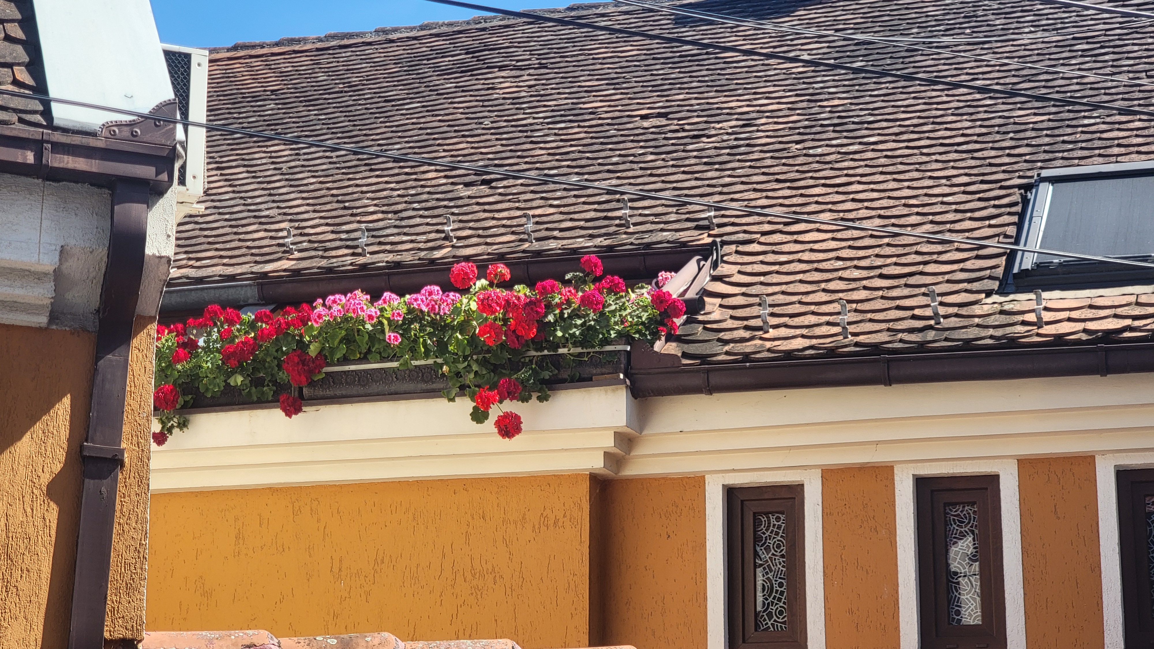 Beograd Flower Box, 2025.06.04